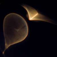 image: {{filename}}